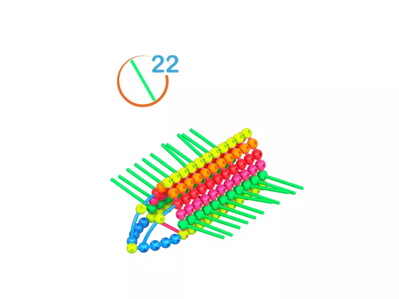 hedgehog-09