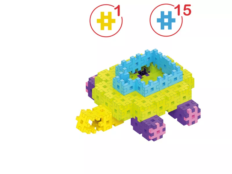 turtle-6