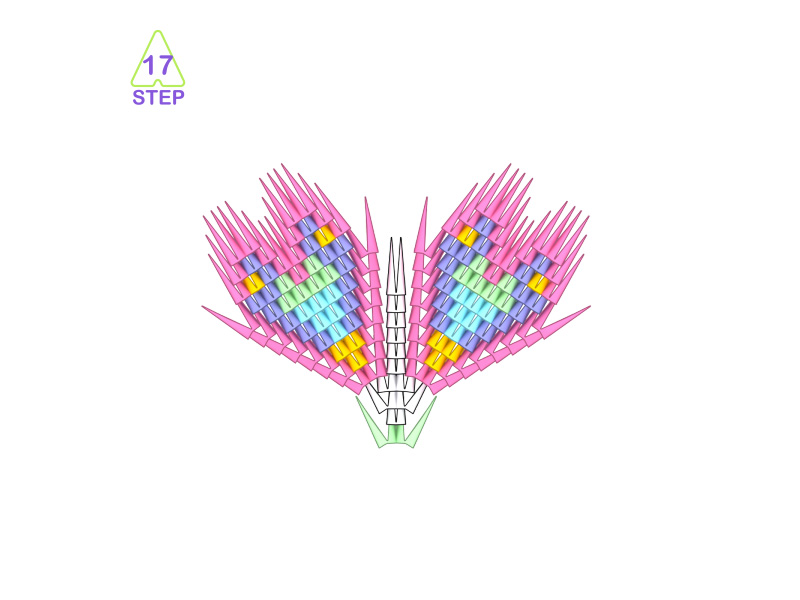 Butterfly-17