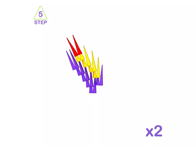 bird-5