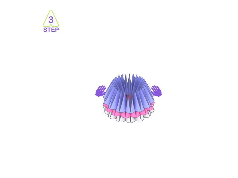 chicken-8
