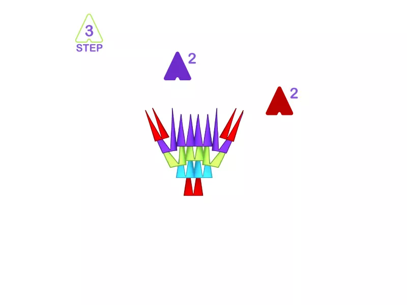 fish-3