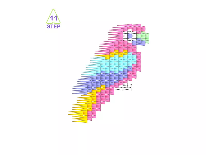 parrot-11